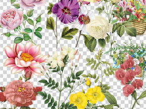 欧美复古花卉PMH免扣元素 赋能居家生活与工作的设计宝藏