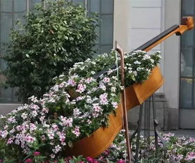 旧居家用品开出‘养老花’，河南康乃馨的创意满分