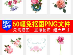 鲜花店月季玫瑰月季玫瑰花促销海报png图片素材 模板下载 62.23mb 居家物品大全 生活工作